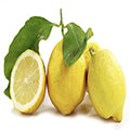 Amalfi_Lemon